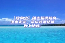【除臭蟲(chóng)】維密超模被臭蟲(chóng)害失業(yè)，希爾頓酒店被告上法庭！