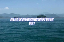 自己買白蟻藥能消滅白蟻嗎？