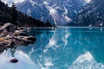 深圳殺蟲公司介紹家庭使用毒餌滅蟑螂方法