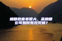 蟑螂危害非常大，殺蟑螂公司如何有效滅蟑？