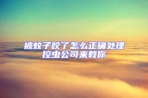 被蚊子咬了怎么正確處理控蟲公司來教你