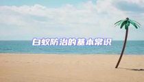 白蟻防治的基本常識