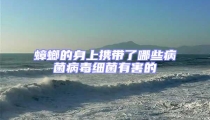 蟑螂的身上攜帶了哪些病菌病毒細(xì)菌有害的