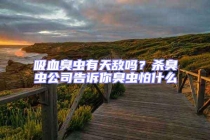 吸血臭蟲有天敵嗎？殺臭蟲公司告訴你臭蟲怕什么