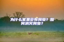 為什么家里會(huì)有臭蟲(chóng)？如何消滅臭蟲(chóng)？