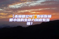 【殺蟑螂公司】告訴你蟑螂小強的生命力到底有多強？