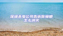 深圳殺蟲公司告訴你蟑螂怎么消滅