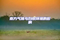 南方氣候與白蟻環(huán)境的影響