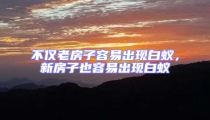 不僅老房子容易出現(xiàn)白蟻，新房子也容易出現(xiàn)白蟻