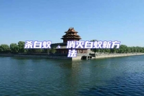 殺白蟻 、消滅白蟻新方法