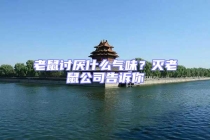 老鼠討厭什么氣味？滅老鼠公司告訴你