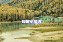 蟑螂小常識(shí)