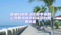 深圳白蟻防治比較專業(yè)的公司教小伙伴們認識白蟻的危害
