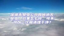 深圳殺臭蟲公司如何消滅臭蟲，效果怎么樣，可不可以一次就清理干凈？
