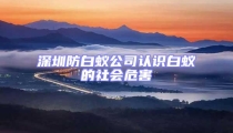 深圳防白蟻公司認(rèn)識白蟻的社會危害