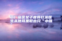 工廠宿舍女子疼得打滾醫(yī)生從她耳里取出只“小強(qiáng)”