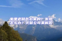 家里老鼠怎么來的？發現怎么辦？滅鼠公司來解答