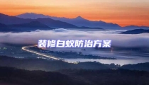 裝修白蟻防治方案