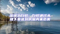 深圳治白蟻：白蟻通過從地下蔓延到房屋內來危害