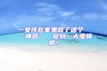 一女孩在家里放了這個(gè)“神器”，捉到一大堆蟑螂！