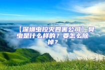 【深圳蟲控滅四害公司】臭蟲是什么樣的？要怎么除掉？