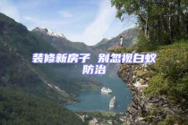 裝修新房子 別忽視白蟻防治