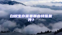 白蟻生存需要那些特殊條件？