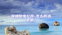 深圳除蟲公司-怎么防治老鼠？