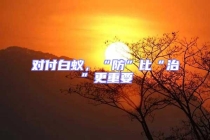 對付白蟻，“防”比“治”更重要