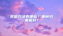 滅鼠方法有哪些？哪種效果最好？