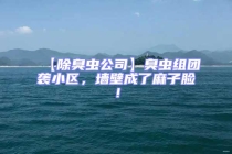 【除臭蟲公司】臭蟲組團襲小區，墻壁成了麻子臉！