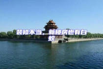 裝修不當(dāng)，新樓房也有白蟻