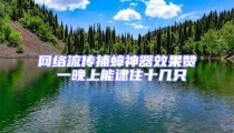 網絡流傳捕蟑神器效果贊 一晚上能逮住十幾只