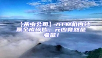 【殺蟲公司】ATM機內鈔票全成碎片，元兇竟然是老鼠！
