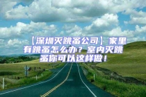 【深圳滅跳蚤公司】家里有跳蚤怎么辦？室內滅跳蚤你可以這樣做！