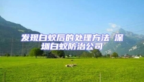 發(fā)現(xiàn)白蟻后的處理方法┋深圳白蟻防治公司┋