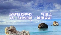 深圳白蟻中心：  氣溫上升，白蟻扮演“神風(fēng)突擊”