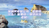 深圳滅老鼠公司：老鼠怕什么？家里放一物絕對(duì)沒(méi)老鼠！