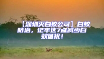 【深圳滅白蟻公司】白蟻防治，記牢這7點(diǎn)減少白蟻困擾！