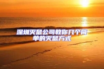 深圳滅鼠公司教你幾個(gè)簡單的滅鼠方式