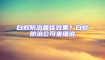 白蟻防治最佳效果？白蟻防治公司來細說