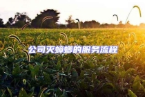 公司滅蟑螂的服務(wù)流程