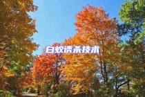 白蟻誘殺技術(shù)