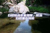白蟻防治專家提醒；防治白蟻重在預防