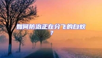 如何防治正在分飛的白蟻？