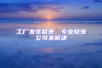 工廠發生鼠患，專業除蟲公司來解決