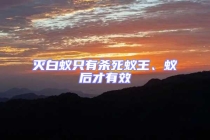 滅白蟻只有殺死蟻王、蟻后才有效