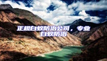 正規(guī)白蟻防治公司，專業(yè)白蟻防治
