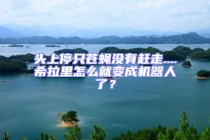 頭上停只蒼蠅沒有趕走....希拉里怎么就變成機器人了？