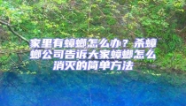 家里有蟑螂怎么辦？殺蟑螂公司告訴大家蟑螂怎么消滅的簡單方法